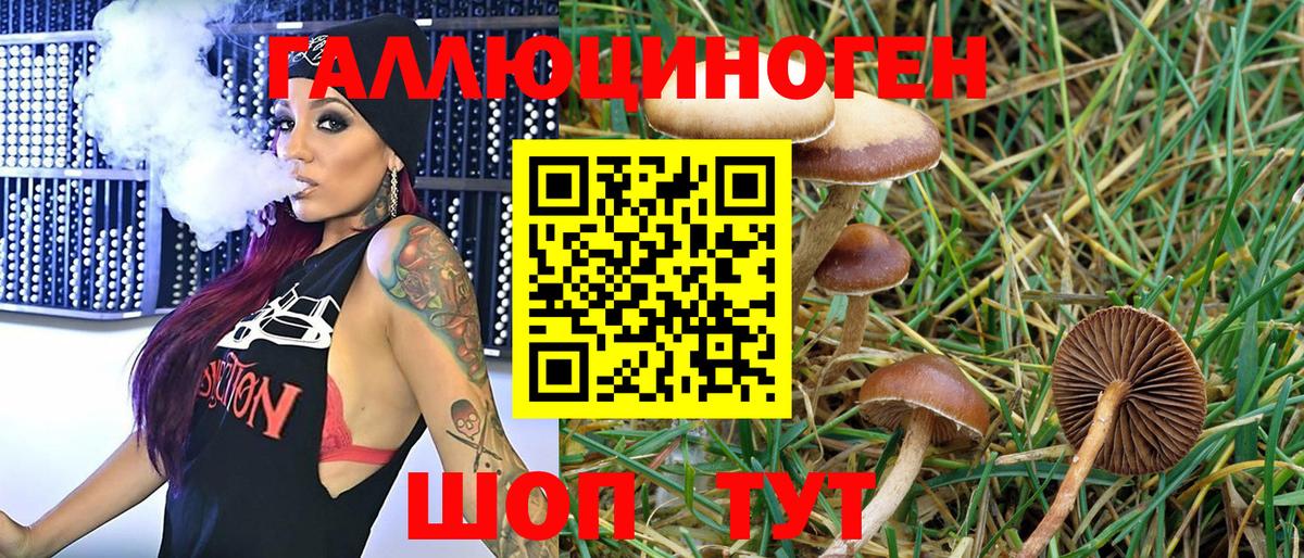 Галлюциногенные грибы Cubensis  Вход с VPN  Галлюциногенные грибы Psilocybe  Павлово 
